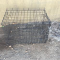 Dog Kennel For Sale 