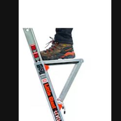Only $35 Ladders Step Platform Multiposition Ladder Accessory, 375 lbs. Load Capacity Paid $65 