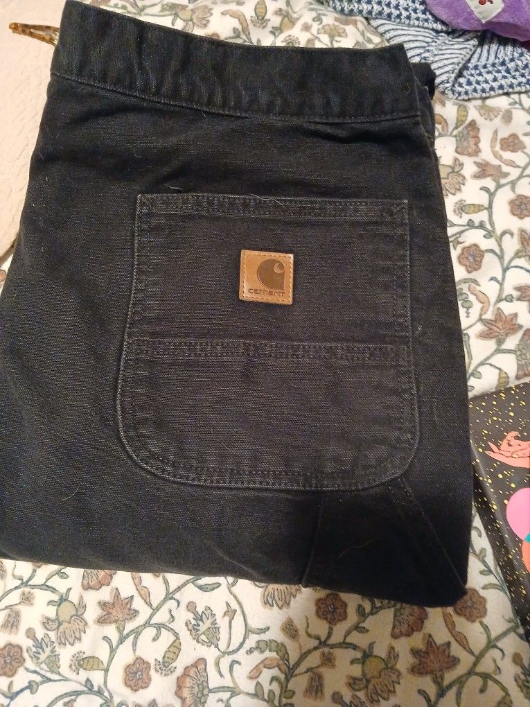 Men's Carhartt Work Pants