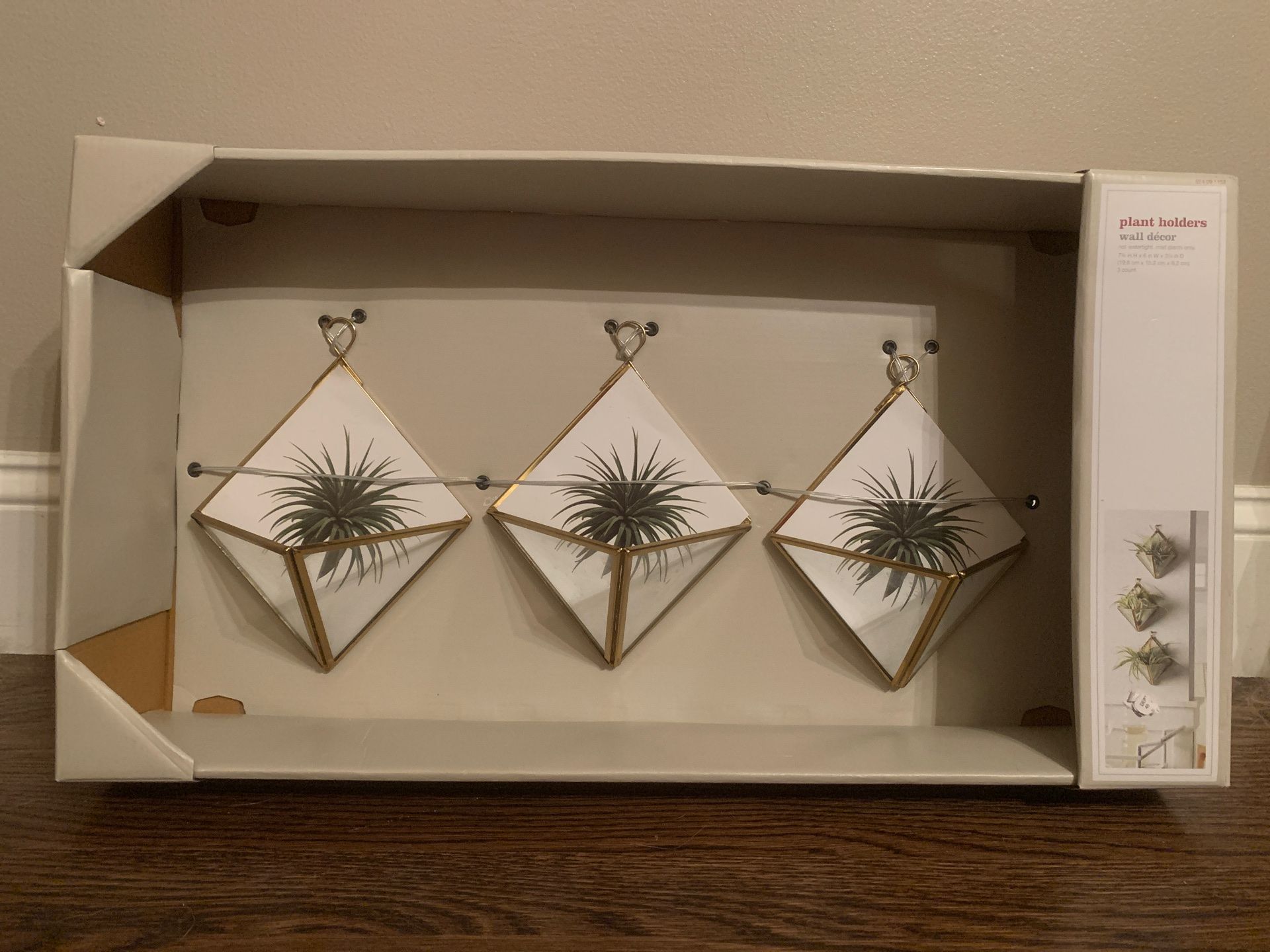 Brass/Gold set of three air plant holders