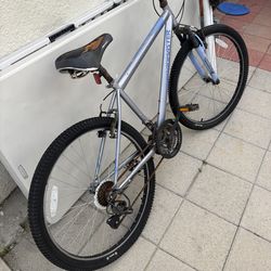 Road master mountain bike