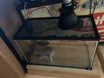 Reptile terrarium tank 10 gallon with light