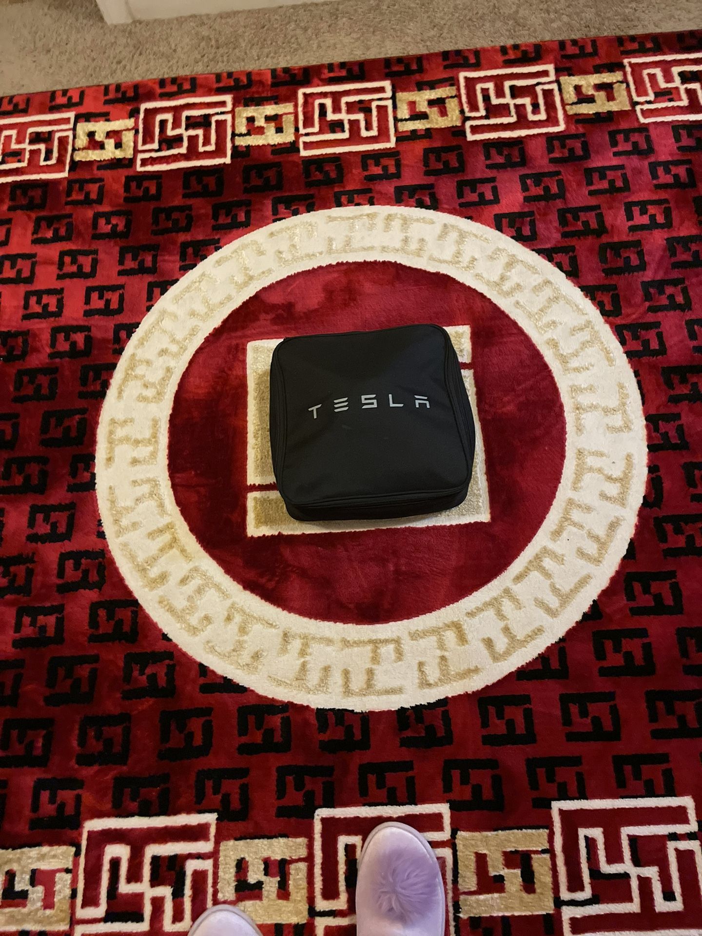 Tesla Car charger