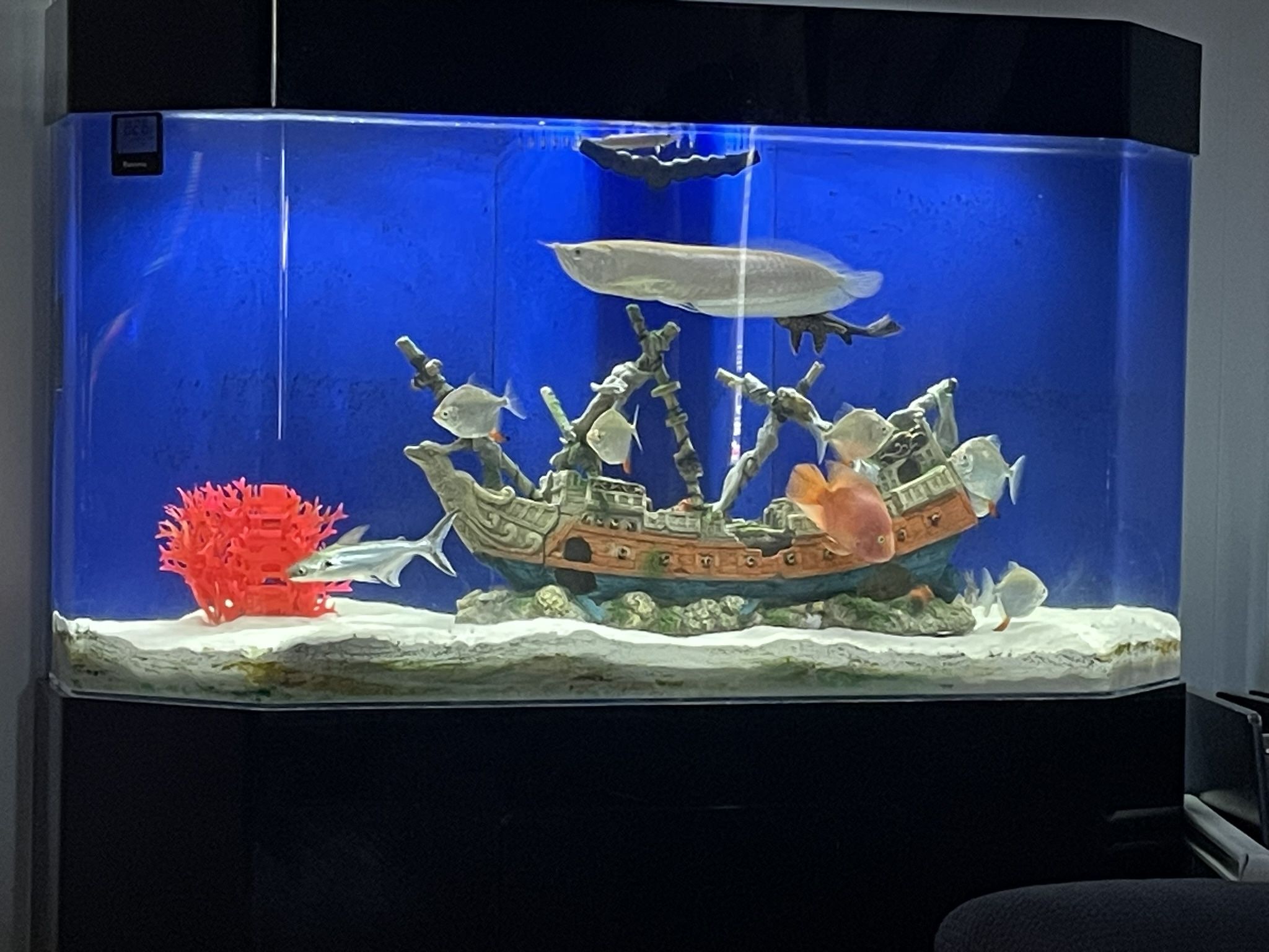 Fish Tank Acrylic 100 Gallon
