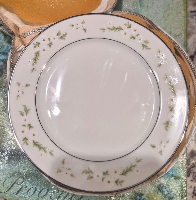 $3,100 – NO LOWBALLS
Complete 48-Piece Vintage Hutschenreuther Selb Bavaria Germany Silver-Rim Holiday Service – Pristine Condition