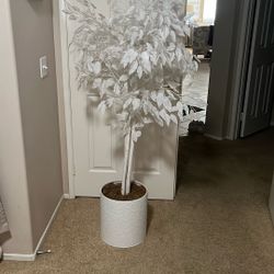 White Ficus Silk Plant 