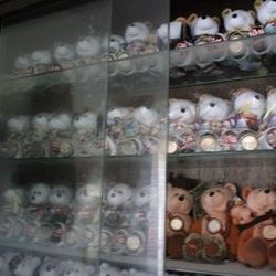 Limited Treasures  Coin Bears