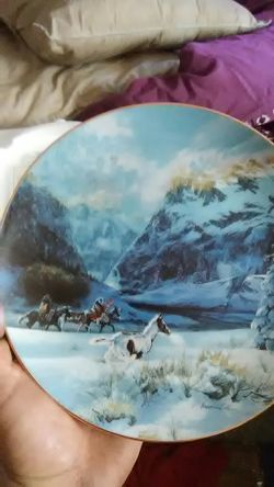 Snow rider collector plate