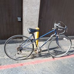 Bike Vintage Schwinn