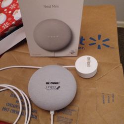 Google Nest Mini