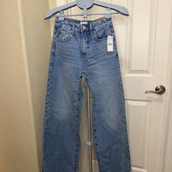 New Pacsun High Rise Baggy Wide Jeans Size 24