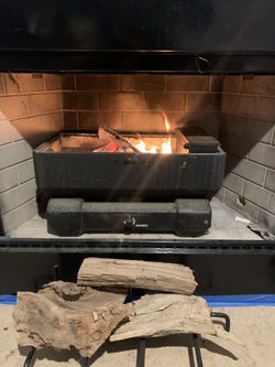 Now Avocado Firewood Very Dry