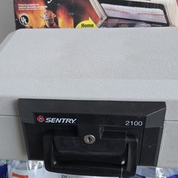 Sentry Safe