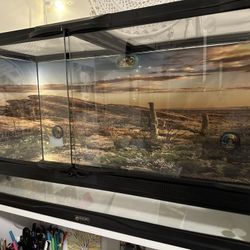 25 Gallon Reptile Tank