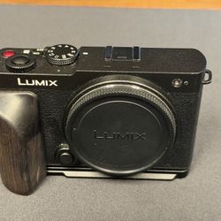 Panasonic Lumix S9
