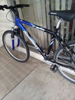 ALUMINUM Diamondback bike