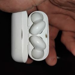 Nice Ear Buds