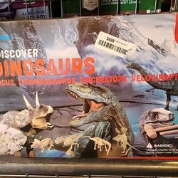 Dig And Discover Kids Activity 