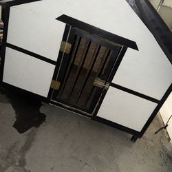 Big dog house