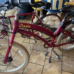 Prodecotech Oasis Ev Bike