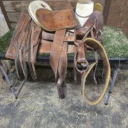 Saddle 