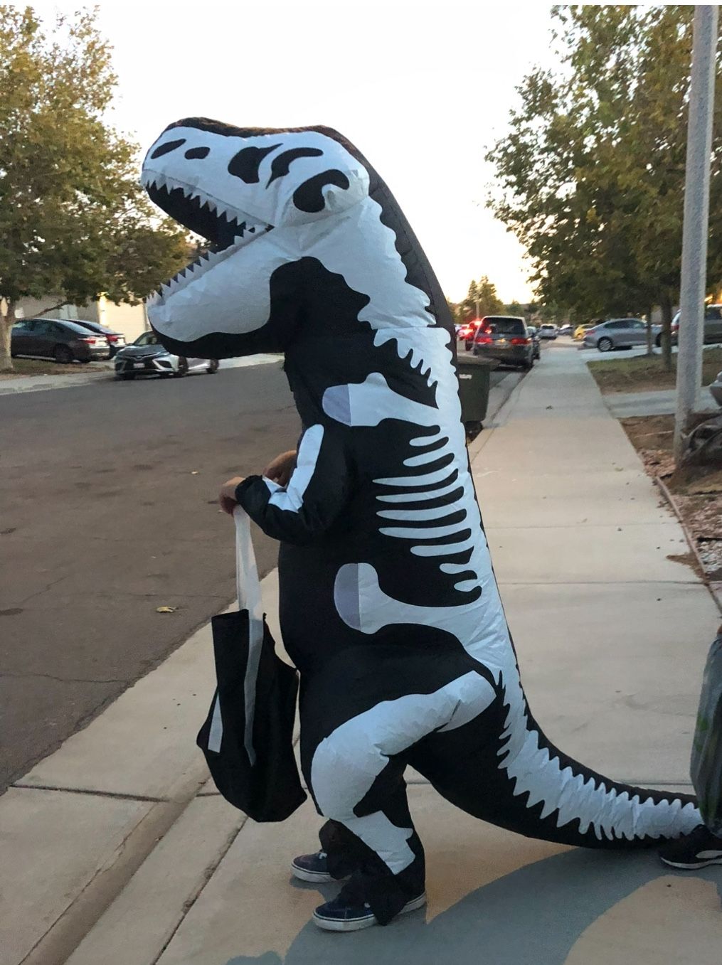 Children’s Inflatable Skeleton Dinasour