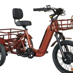 BREEZY Electric Trike 3 Wheel eBike TRIKE GT-48v 500 w Fat Tire Electric Tricycle