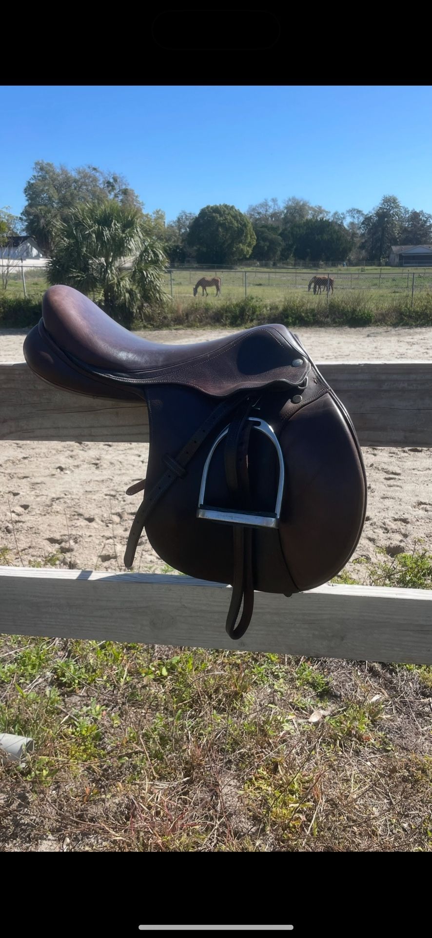 M toulouse saddle