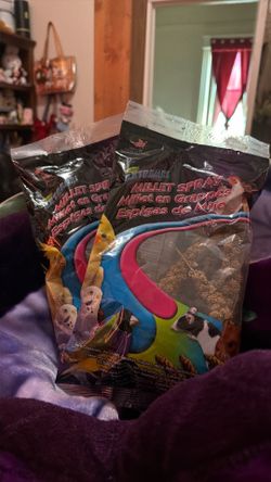 Bird Feed
