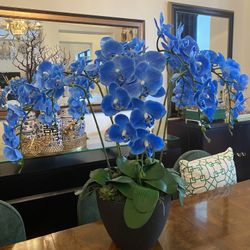 Lifelike Realistic Faux Large Blue Phalaenopsis Orchids Arrangement with Succulents in a Black Pot