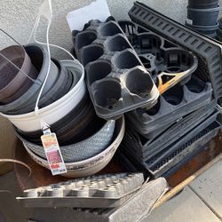 Plant Trays