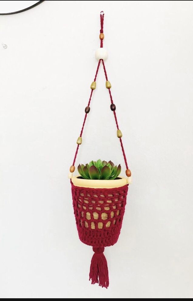 succulent hanger plant 🪴