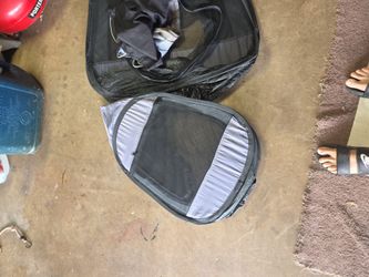 Cat Camping