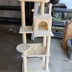 Cat House 
