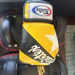Fairtex Muay Thai Gloves