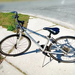 Trek Race Bike 