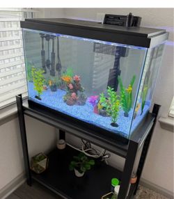 Glass Fish Tank Aquarium with Filter and Decoration and stand
