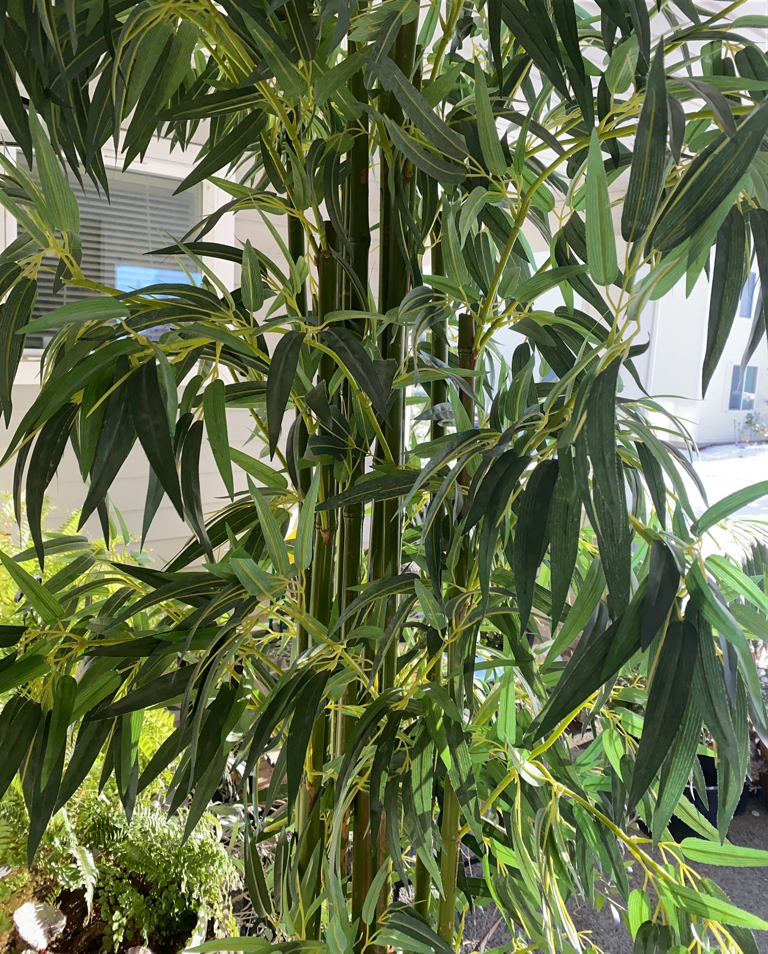 Delux, 10 Real Stems Bamboo With Silk Leaves (Pending)