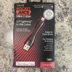 Pocket Juice Small iPhone Charger
