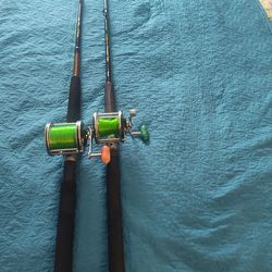 Saltwater fishing pole big game