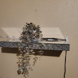 Decoración 