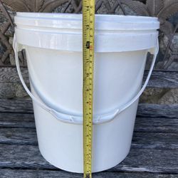 Plants 🪴 Bucket 🪣 