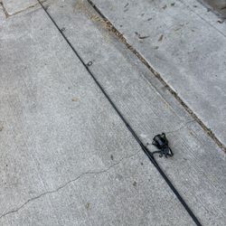 Fishing’s rod and reel