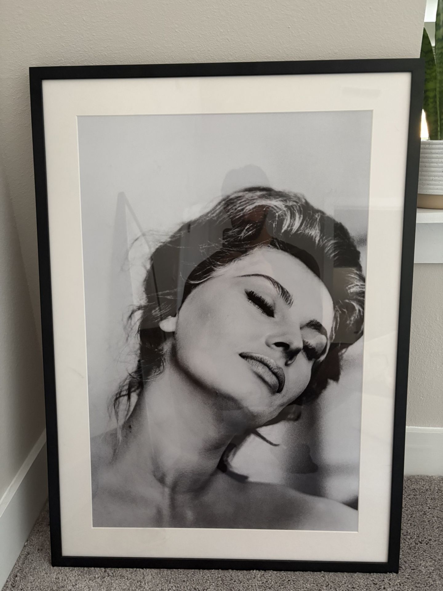 Sophia Loren Picture In Frame