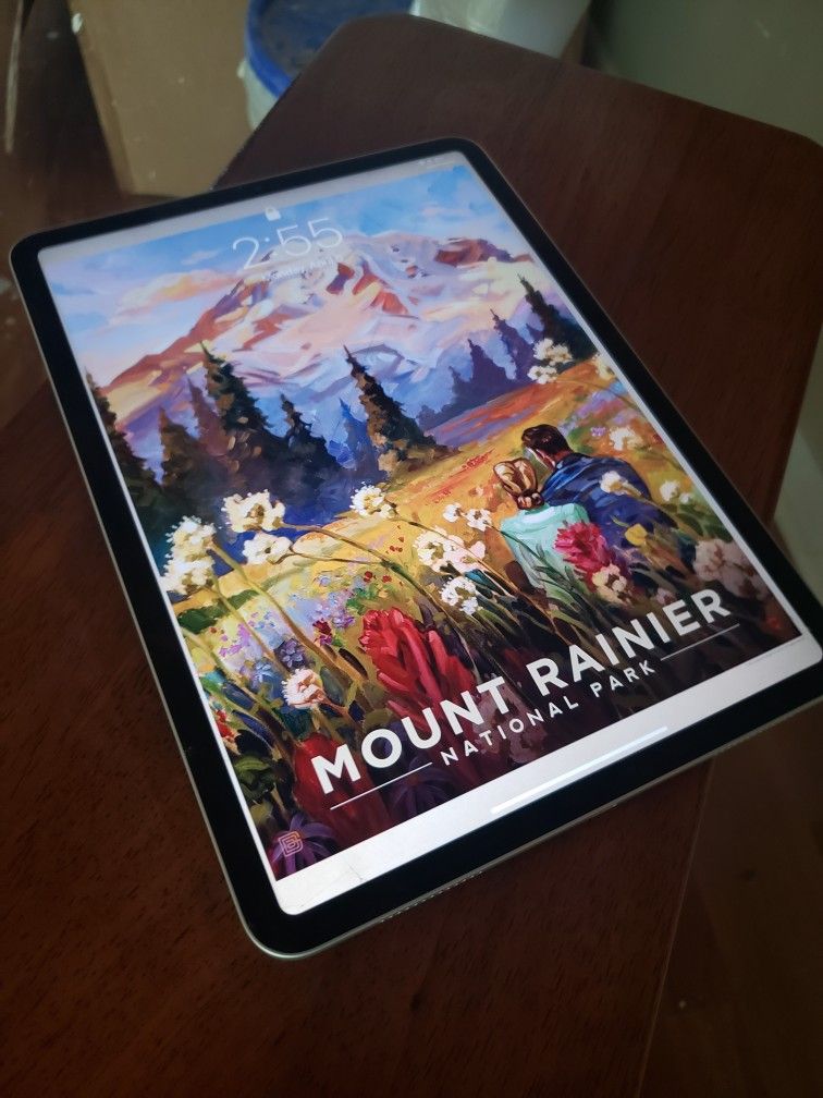 Apple IPAD cracked W/Apple Pencil