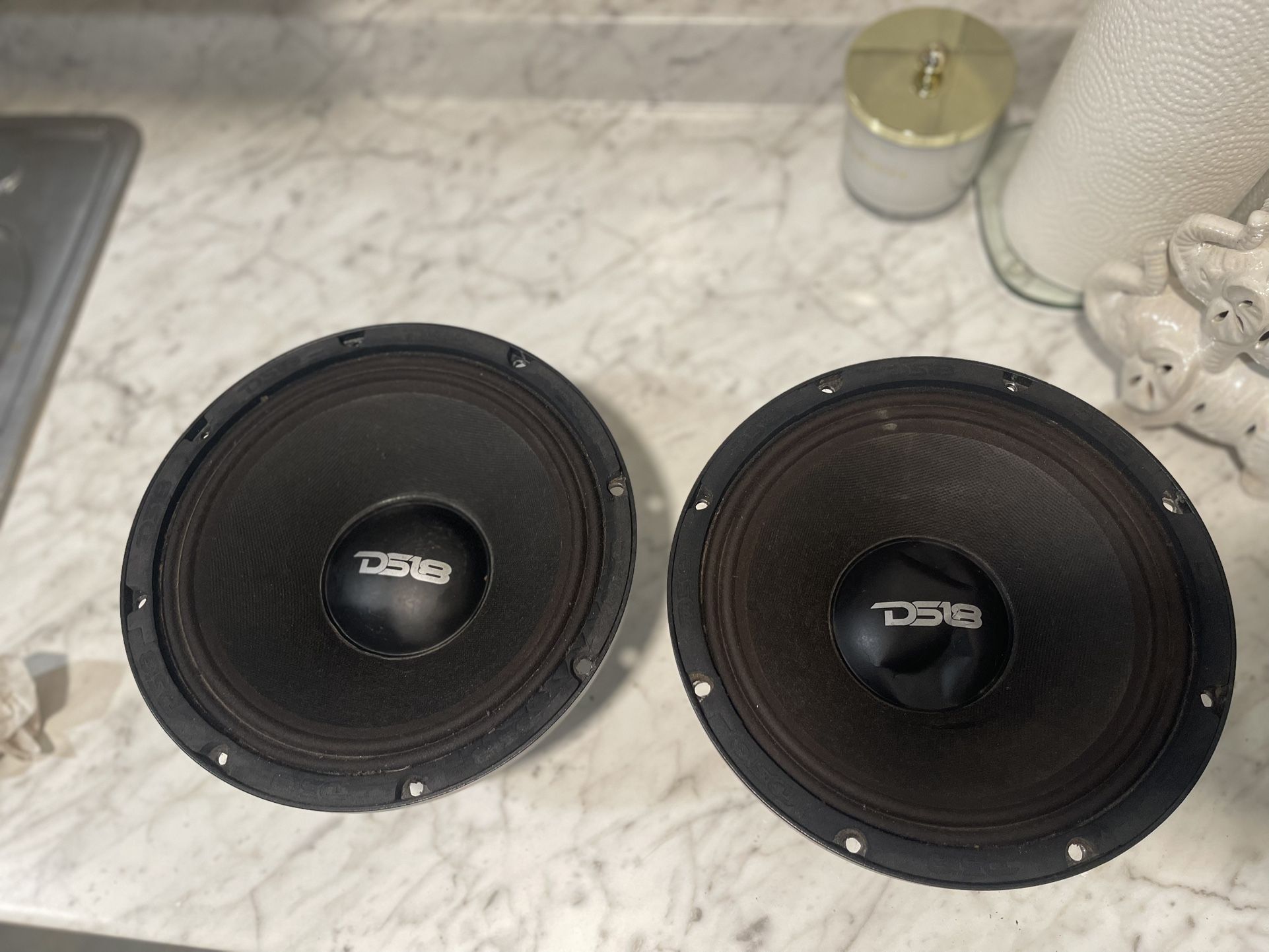 Ds18 Speakers