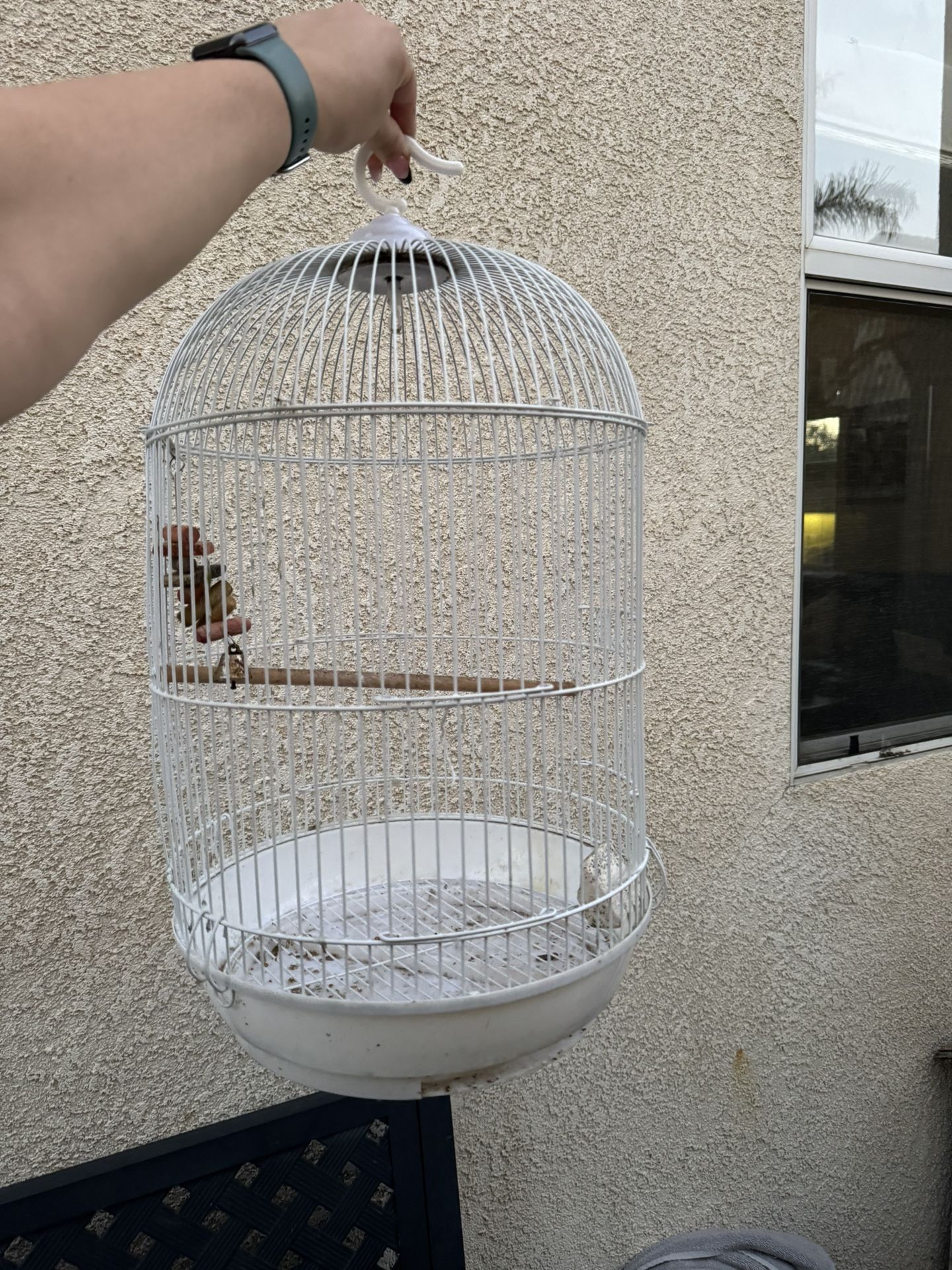 White Bird Cage