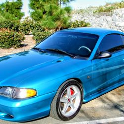 Paint Polishing/Ceramic Coating