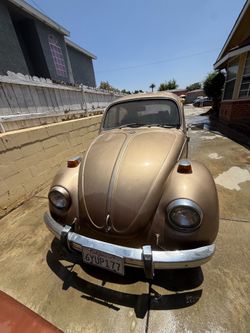Vintage Bug car