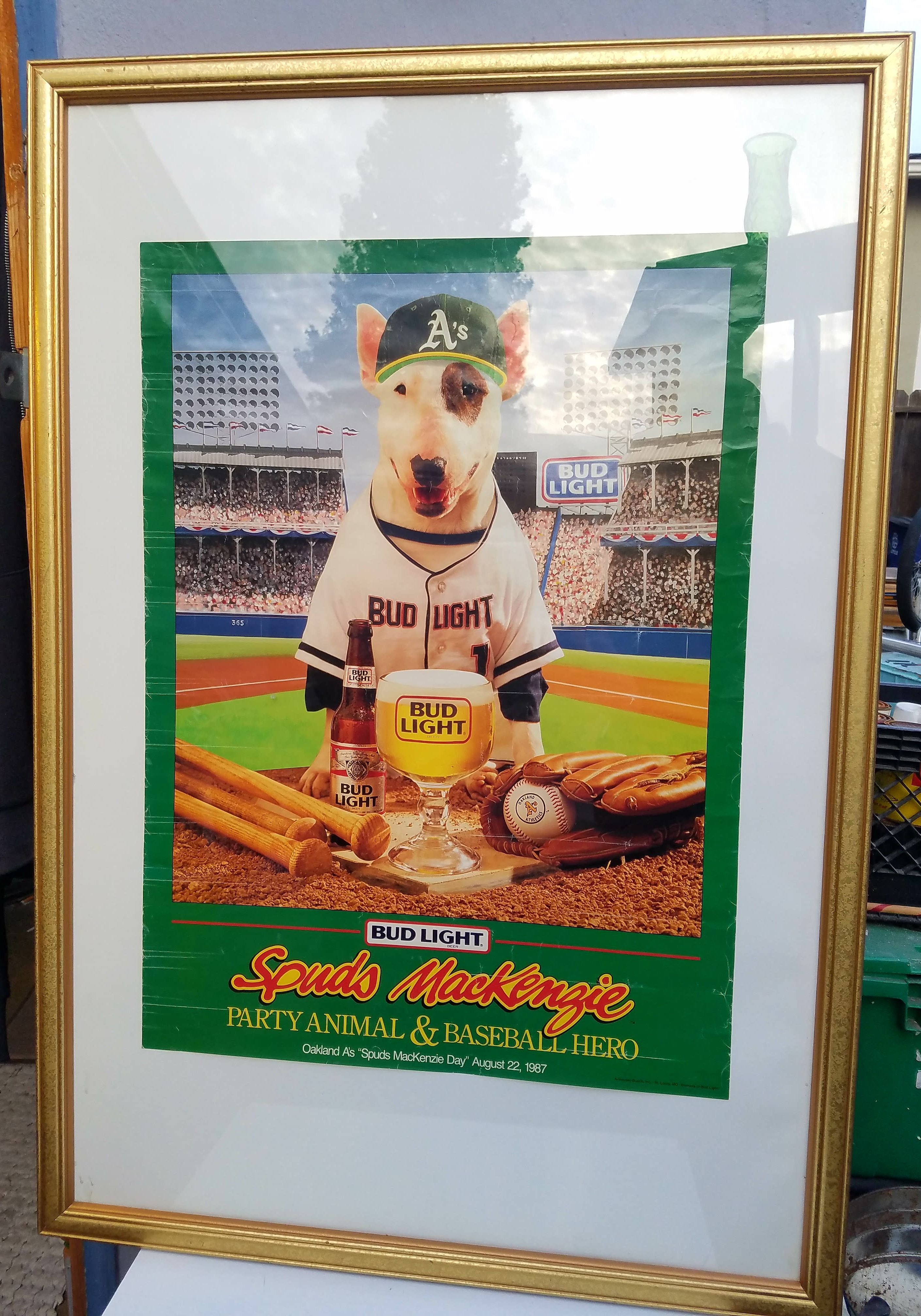 RARE 1987 Oakland A's Spuds Mackenzie Day Poster! Mounted in Vintage Glass & Wood Frame! - $150 OBO!